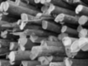 firewood supplier edmonton THE FIREWOOD FARM INC
