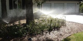lawn sprinkler system contractor edmonton Green Thumb Irrigation