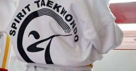 taekwondo school edmonton Spirit Taekwondo Academy