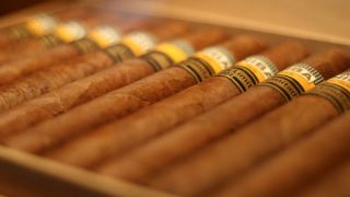 cigar shop edmonton TOBACCONIST HAVANA