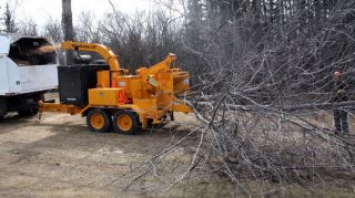 tree service edmonton Alberta Arborists