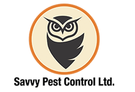 bird control service edmonton SAVVY PEST CONTROL