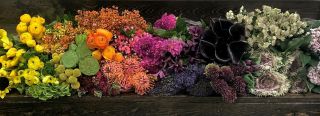 flower market edmonton Superior Floral Wholesale Ltd