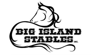 horse boarding stable edmonton Big Island Stables