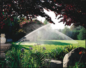 lawn sprinkler system contractor edmonton Rain Man Irrigation & Plumbing Ltd